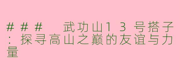 ### 武功山13号搭子:探寻高山之巅的友谊与力量