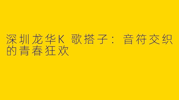 深圳龙华K歌搭子:音符交织的青春狂欢