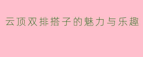 云顶双排搭子的魅力与乐趣