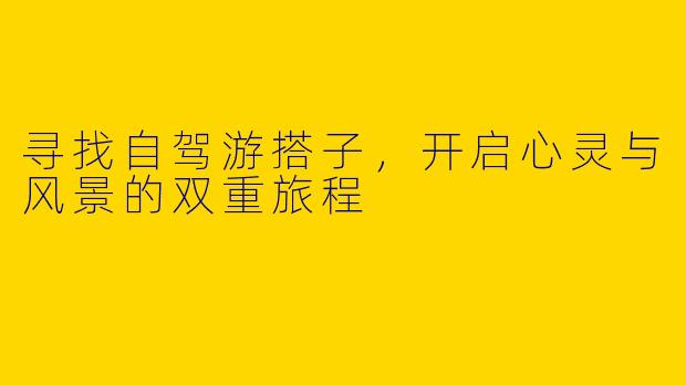 寻找自驾游搭子，开启心灵与风景的双重旅程