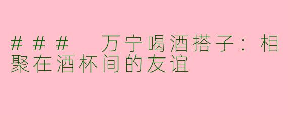 ### 万宁喝酒搭子：相聚在酒杯间的友谊