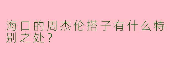 海口的周杰伦搭子有什么特别之处？