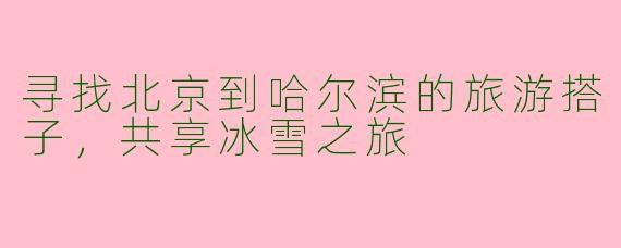 寻找北京到哈尔滨的旅游搭子，共享冰雪之旅