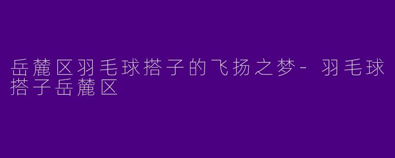 岳麓区羽毛球搭子的飞扬之梦-羽毛球搭子岳麓区