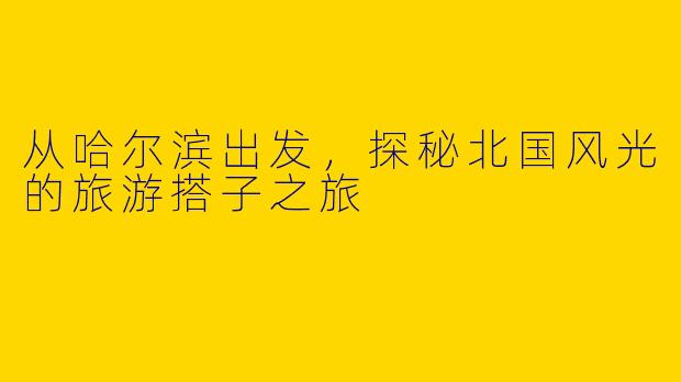 从哈尔滨出发，探秘北国风光的旅游搭子之旅