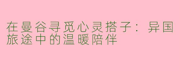 在曼谷寻觅心灵搭子：异国旅途中的温暖陪伴