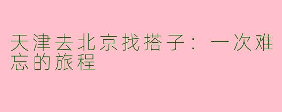 天津去北京找搭子：一次难忘的旅程