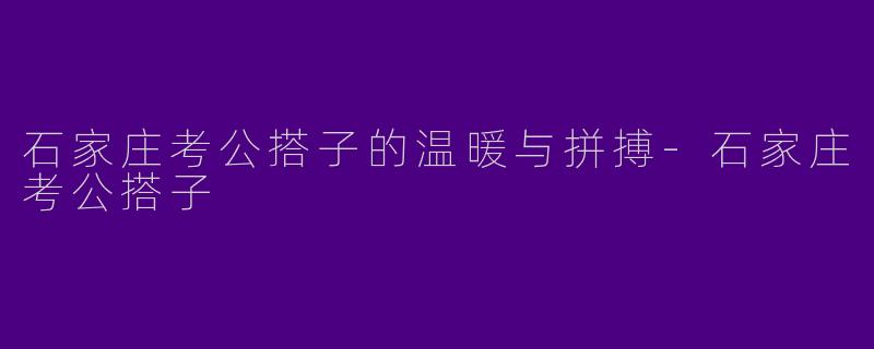 石家庄考公搭子的温暖与拼搏-石家庄考公搭子
