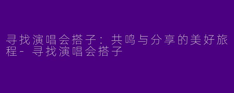 寻找演唱会搭子:共鸣与分享的美好旅程