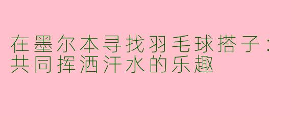 在墨尔本寻找羽毛球搭子：共同挥洒汗水的乐趣