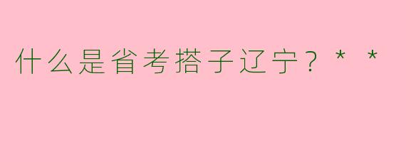 什么是省考搭子辽宁?**