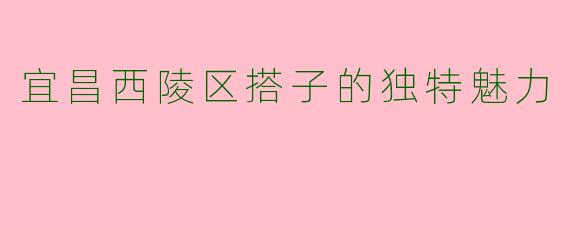 宜昌西陵区搭子的独特魅力
