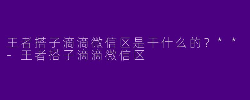 王者搭子滴滴微信区是干什么的?**