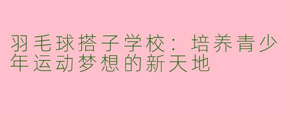 羽毛球搭子学校：培养青少年运动梦想的新天地