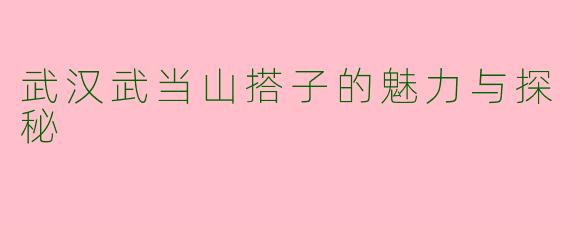 武汉武当山搭子的魅力与探秘