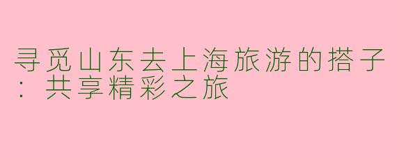 寻觅山东去上海旅游的搭子：共享精彩之旅
