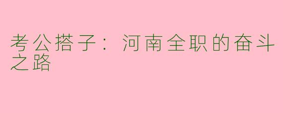 考公搭子：河南全职的奋斗之路