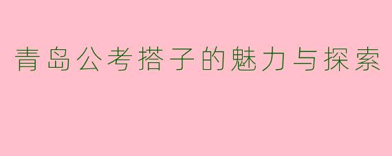 青岛公考搭子的魅力与探索