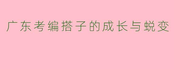 广东考编搭子的成长与蜕变