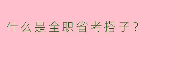 什么是全职省考搭子?