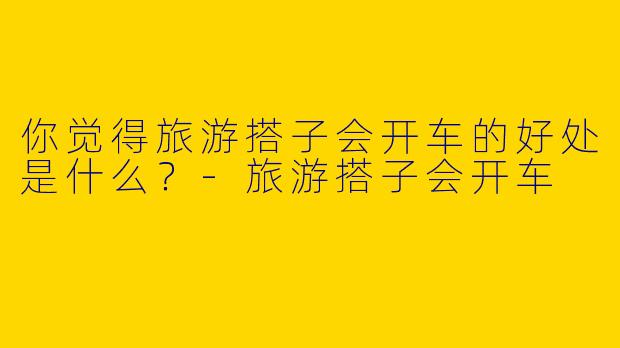 你觉得旅游搭子会开车的好处是什么？-旅游搭子会开车