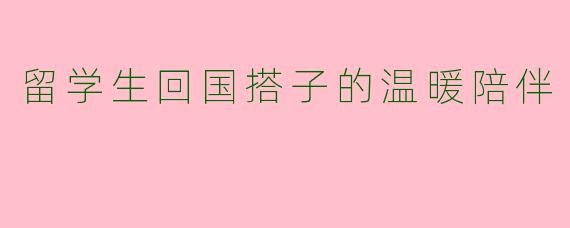 留学生回国搭子的温暖陪伴