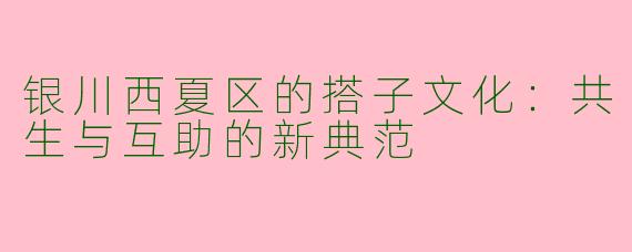 银川西夏区的搭子文化:共生与互助的新典范