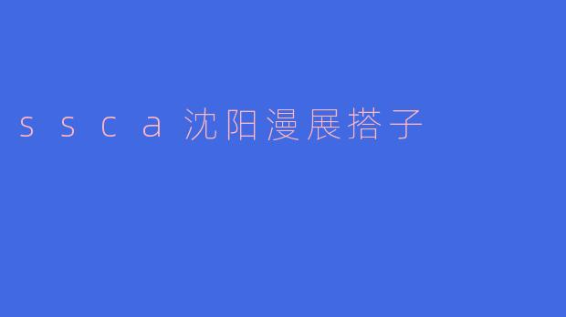 什么是“ssca沈阳漫展搭子”？**