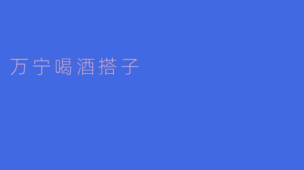 万宁喝酒搭子