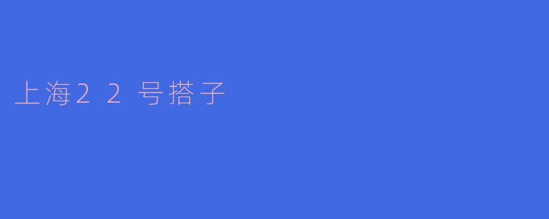 上海22号搭子