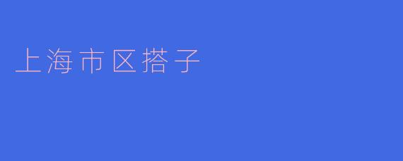 上海市区搭子