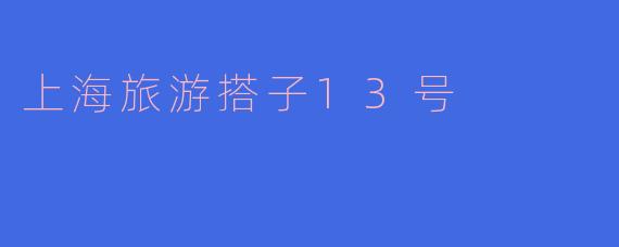 探索上海的魅力与奇遇——携手搭子13号的旅行记