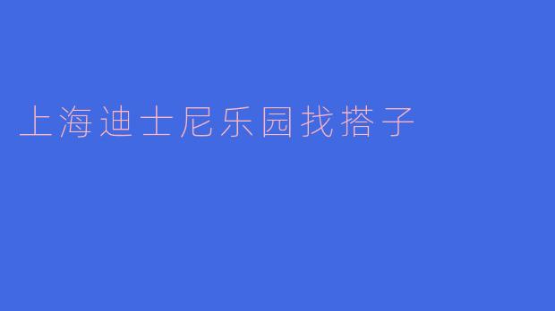 上海迪士尼乐园找搭子