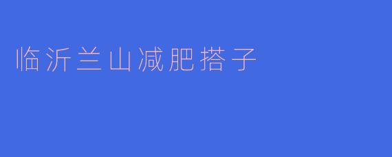 临沂兰山地区有没有适合减肥的搭子推荐?**