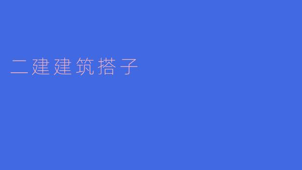 二建建筑搭子是什么意思?**