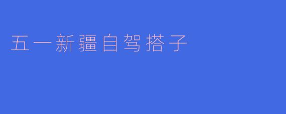 五一新疆自驾搭子