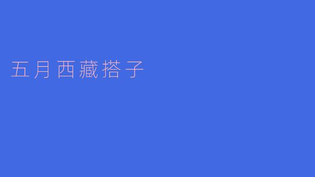 五月西藏搭子