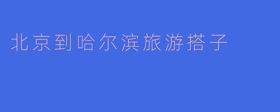 北京到哈尔滨旅游搭子