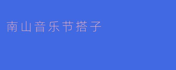 南山音乐节搭子