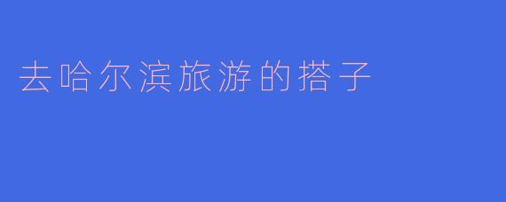 去哈尔滨旅游的搭子