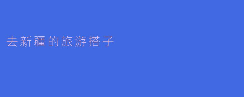 去新疆的旅游搭子