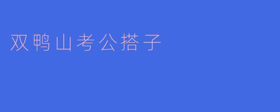 双鸭山考公搭子