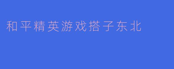 和平精英游戏搭子东北