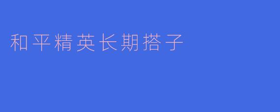 和平精英长期搭子