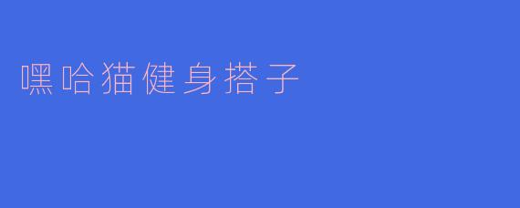 嘿哈猫健身搭子有什么特点?**