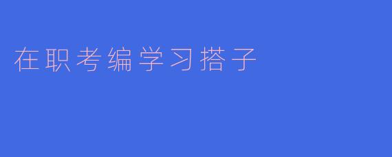 在职考编学习搭子