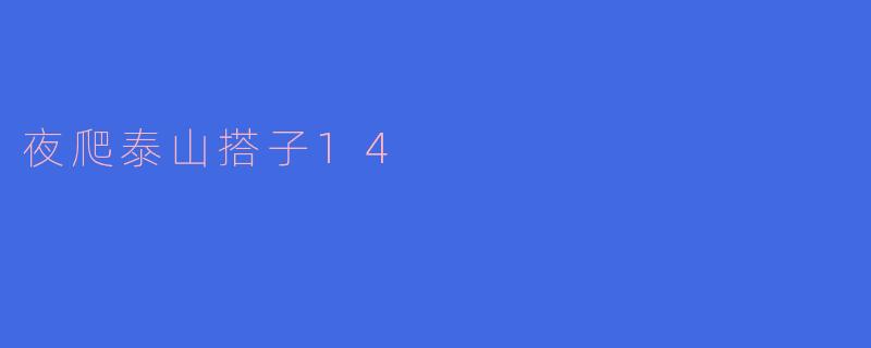 夜爬泰山搭子14
