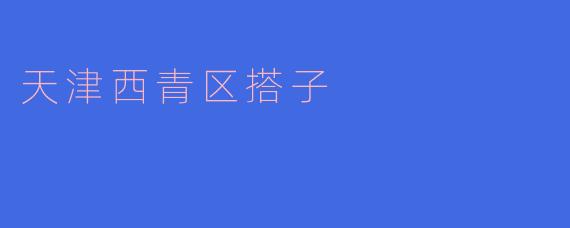 ### 探索天津西青区的“搭子”文化