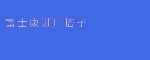 富士康进厂搭子