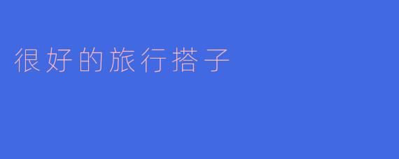 很好的旅行搭子